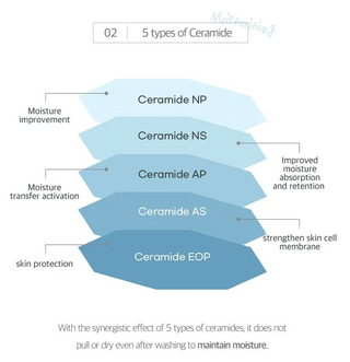 Round Lab 1025 Dokdo Cleansing Milk