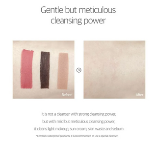 Round Lab 1025 Dokdo Cleansing Milk