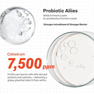 PURCELL 24/7 Colostrum Pore Defence Ampoule with Pixcell Biom