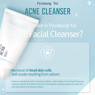 Pyunkang Yul ACNE Facial Cleanser