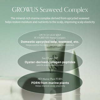 GROWUS Algae Therapy Mineral No Wash Treatment