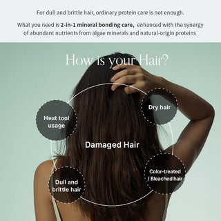 GROWUS Algae Therapy Mineral No Wash Treatment