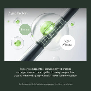 GROWUS Algae Therapy Mineral No Wash Treatment