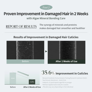 GROWUS Algae Therapy Mineral No Wash Treatment