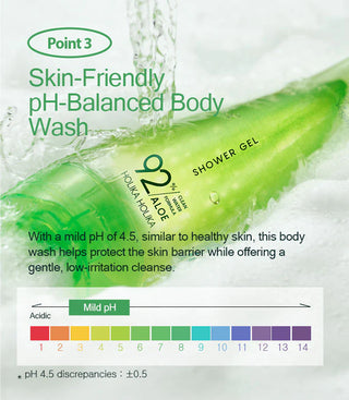Holika Holika Aloe Clean Water Formula 92% Shower Gel