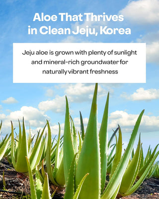 Nature Republic Aloe Vera 92% Soothing Gel (Tube)