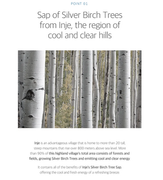 Round Lab Birch Juice Moisturizing Wash Off Pack