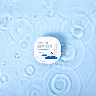 Round Lab Birch Moisturizing Sun Cushion SPF 50+