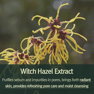 Pyunkang Yul Calming Acne Cleansing Foam