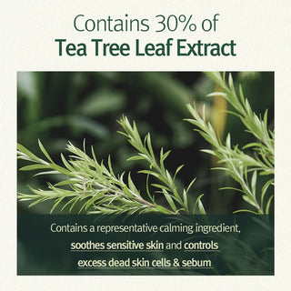 Pyunkang Yul Calming Acne Cleansing Foam