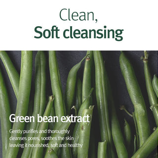 Pyunkang Yul Calming Acne Cleansing Foam