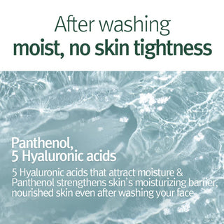 Pyunkang Yul Calming Acne Cleansing Foam