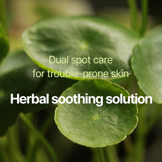 Pyunkang Yul Calming Clear Spot Patch Slim Care