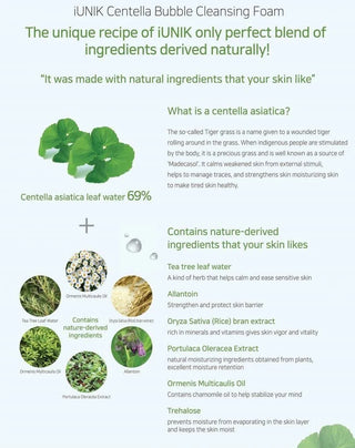 iUNIK Centella Bubble Cleansing Foam