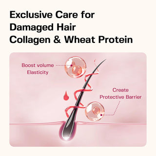 JULYME Damage Care Perfume Shampoo/Treatment - Full Bloom