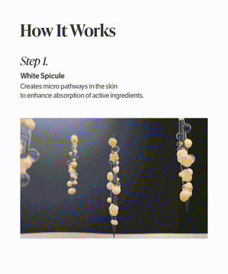 Sungboon Editor Deep Collagen Retinol Power Boosting Capsule Cream