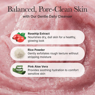 Arencia Fresh Rosehip Mochi Cleanser