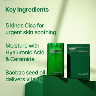 Pyunkang Yul Get Ready Quick Clear Mist
