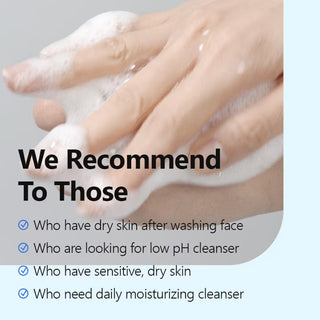 ISNTREE Hyaluronic Acid Low pH Cleansing Foam