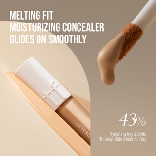 TFIT Idol Cover Concealer