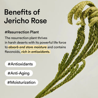 Abib Jericho Rose Cream Nutrition Tube