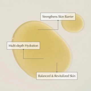 KAINE Kombu Balancing Ampoule Toner