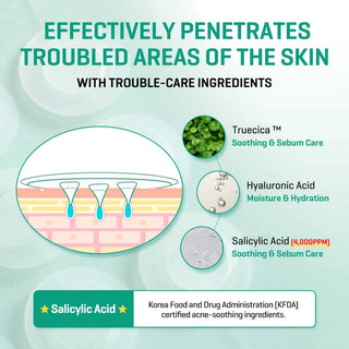 SOME BY MI Micro Pin Spot Patch