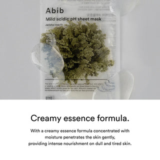 Abib Mild acidic pH Sheet Mask Jericho Eose Fit (1 Sheet)