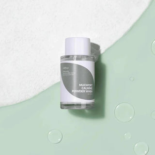ISNTREE Mugwort Calming Powder Wash