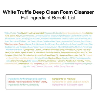 d'Alba Piedmont Italian White Truffle Deep Foam Cleanser