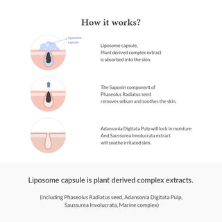 Dr.Althea Premium Quick Step Sebum Cleanser
