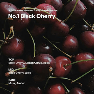 Hetras Find Nature Here Premium Diffusers