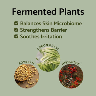 iUNIK Propolis Vitamin Synergy Serum