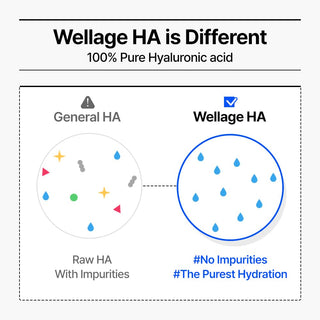 WELLAGE Real Hyaluronic Blue 100 Ampoule