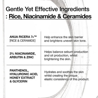 Anua Rice Ceramide 7 Hydrating Barrier Serum