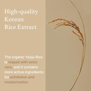 I'm From Rice Sheet Mask (1 Sheet)