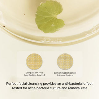 HEVEBLUE Salmon Caring Centella Bubble Cleanser