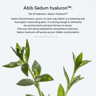 Abib Sedum Hyaluron Cream Hydrating Pot