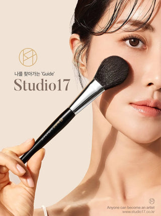 Studio 17 Shading Brush Set