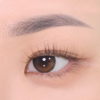 DEAR.MAY The Chic Eyebrow Pencil