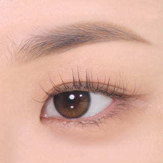 DEAR.MAY The Chic Eyebrow Pencil