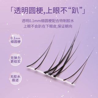 Mr.Wish Wildcat Sunflower Lower Eyelashes