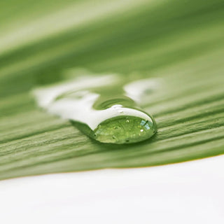 Haru Haru Wonder Black Bamboo Mist