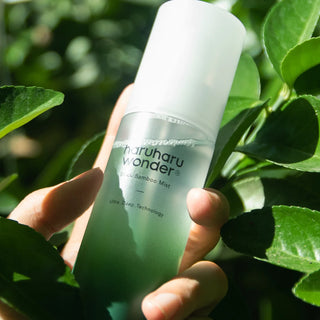 Haru Haru Wonder Black Bamboo Mist