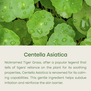 Purito Centella Unscented Toner